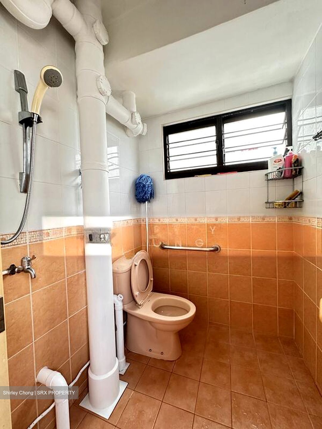 Blk 68 BLANGAH GARDEN (Bukit Merah), HDB 4 Rooms #486703491